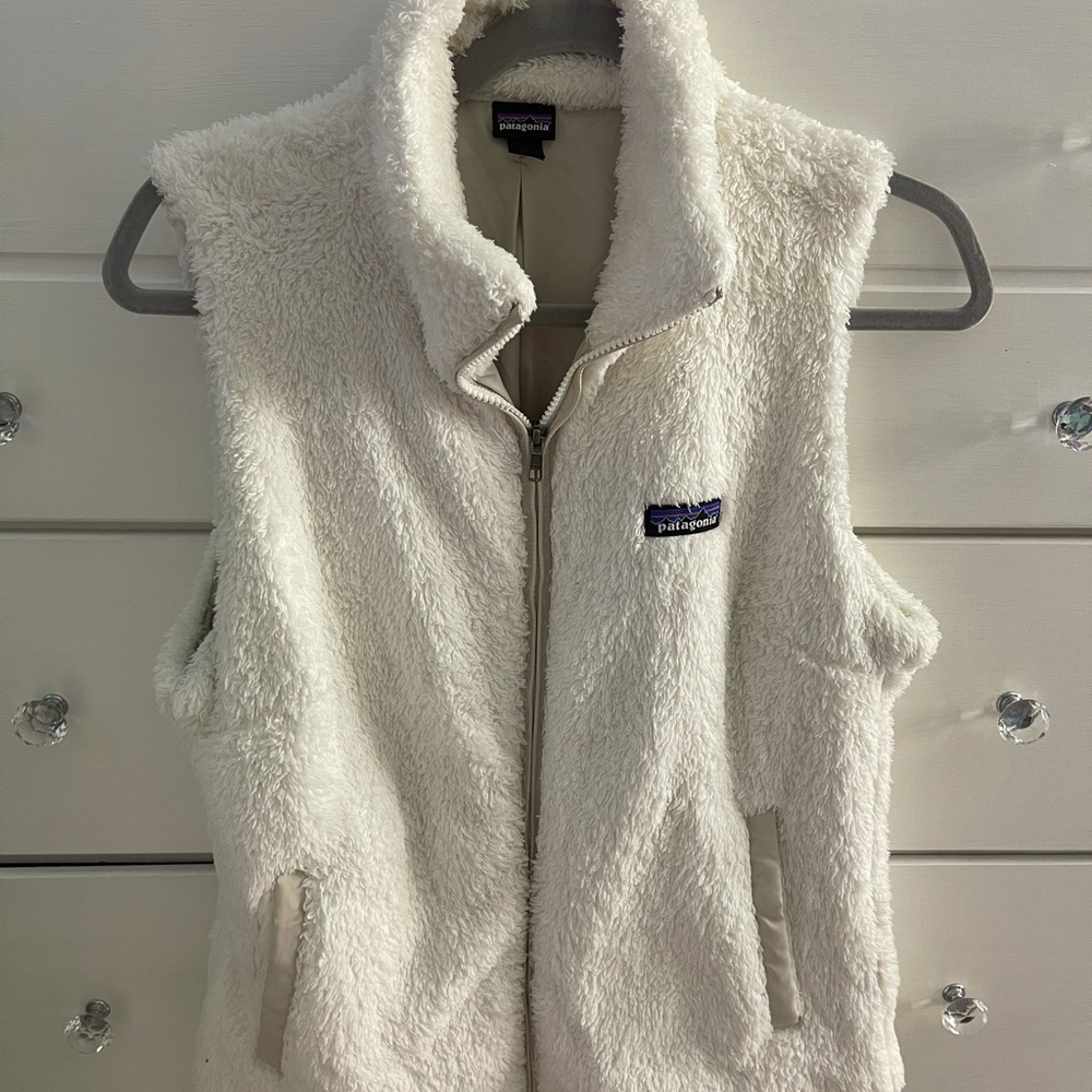 Patagonia vest